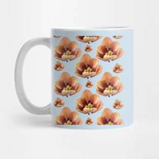 Tulipa 'La Belle epoque'  Double Early Tulip Mug